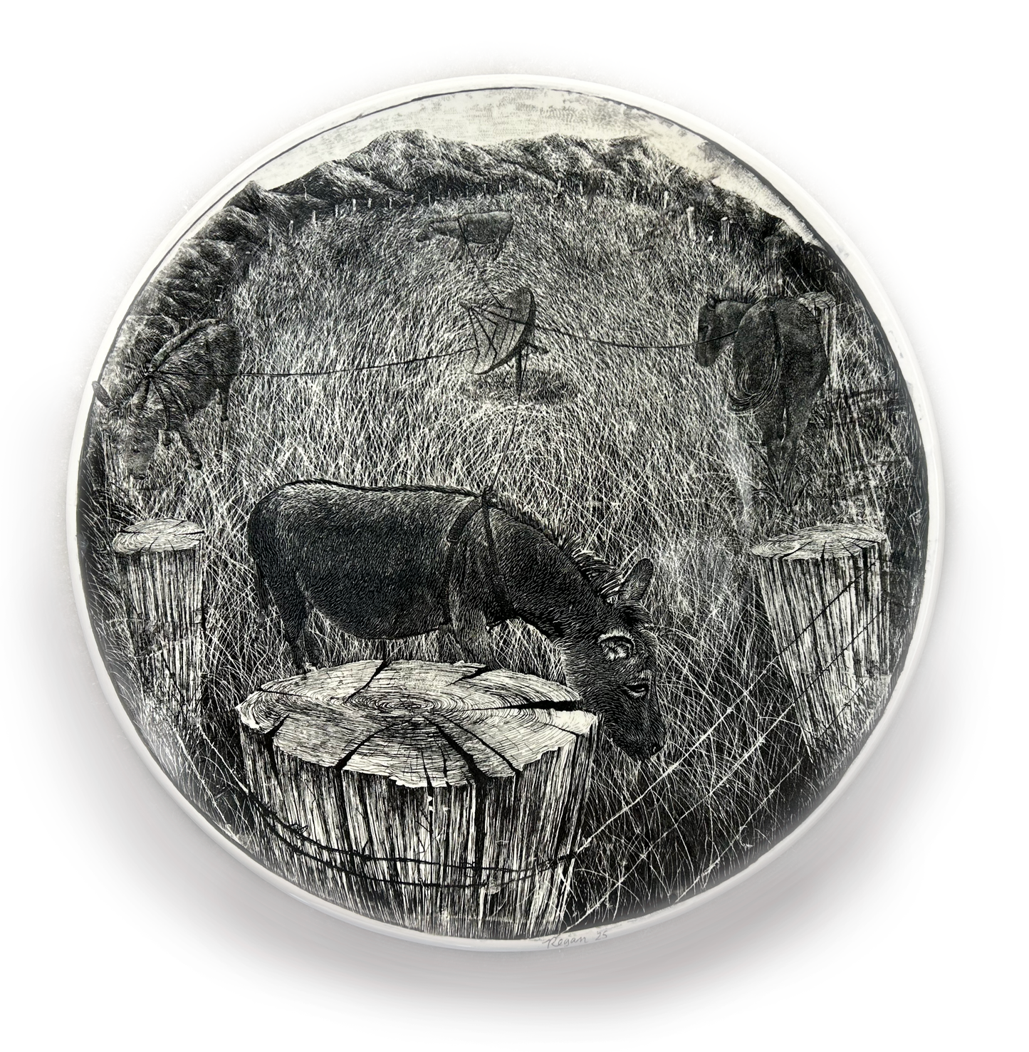 Pasture Platter Donkeys with Satellite Dish