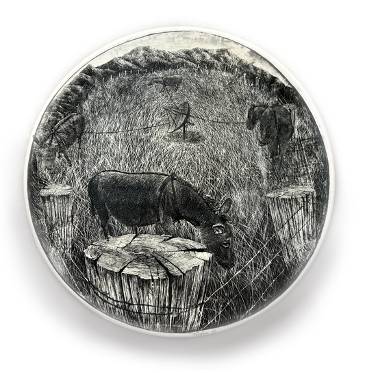 Pasture Platter Donkeys with Satellite Dish