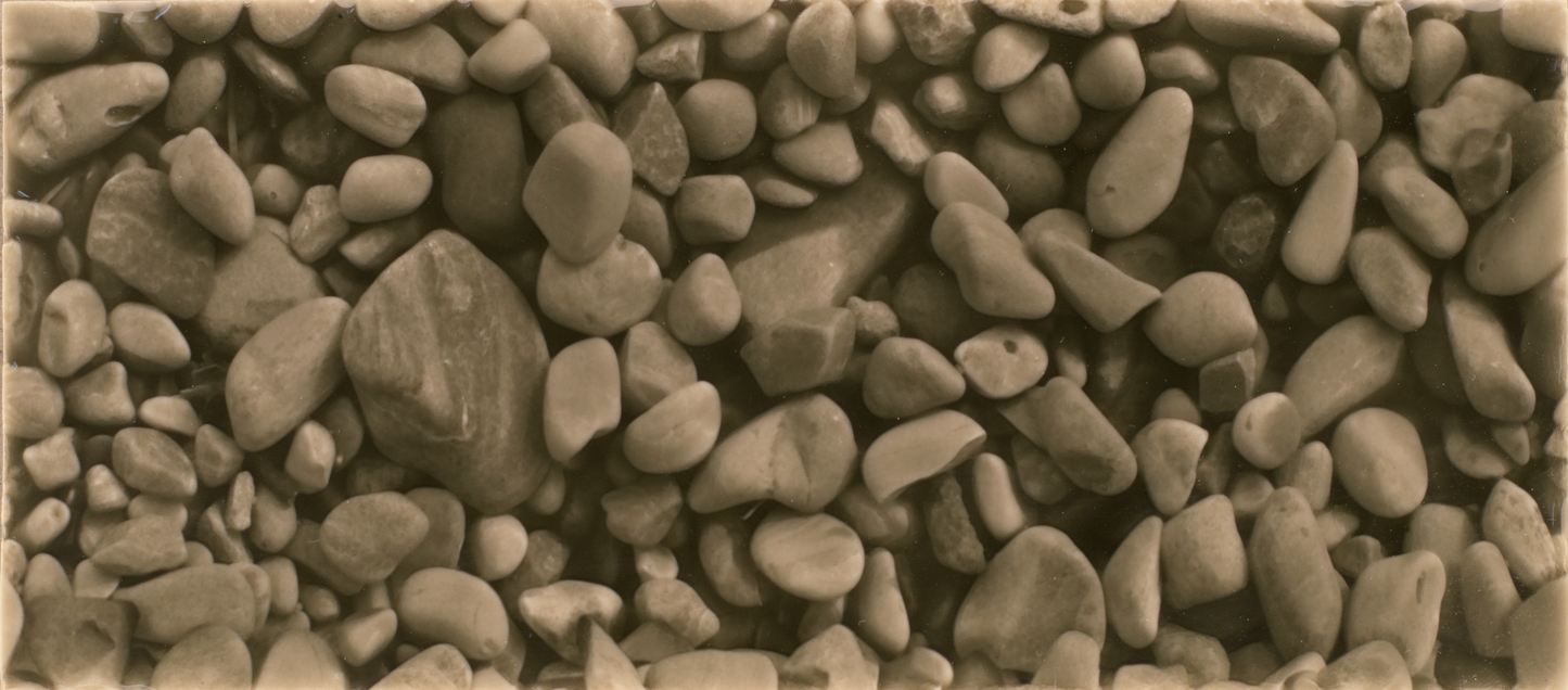 Pebble Shore style ceramic tile featuring an assortment of smooth, rounded stones, ideal for enhancing shower wall aesthetics.