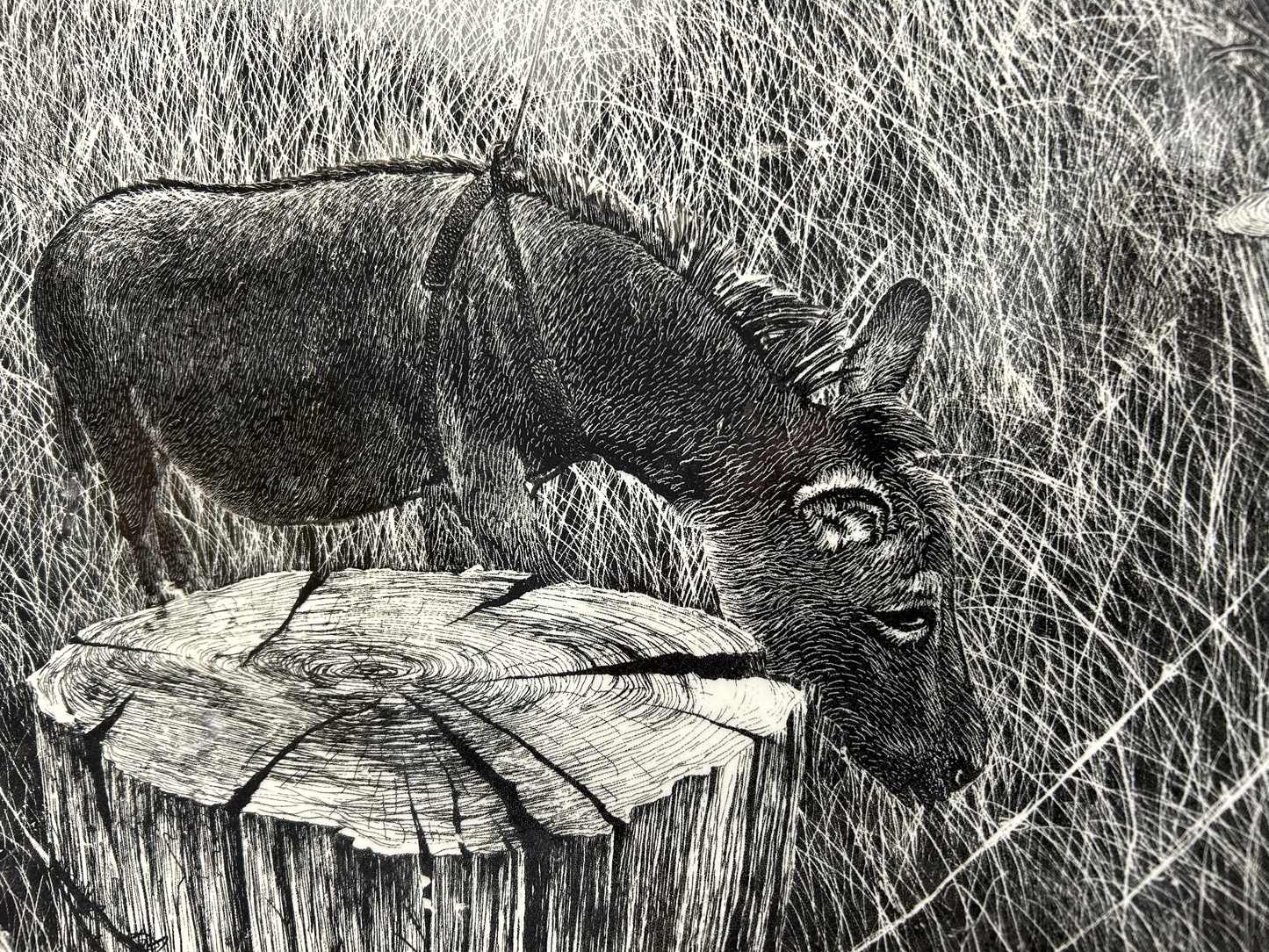 Large Platter with Donkeys in field