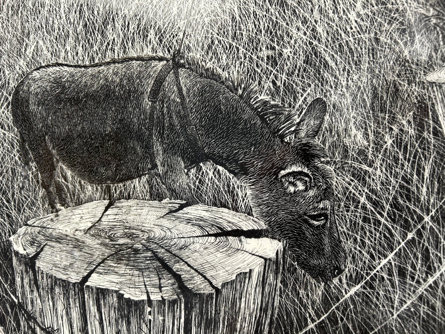 Large Platter with Donkeys in field