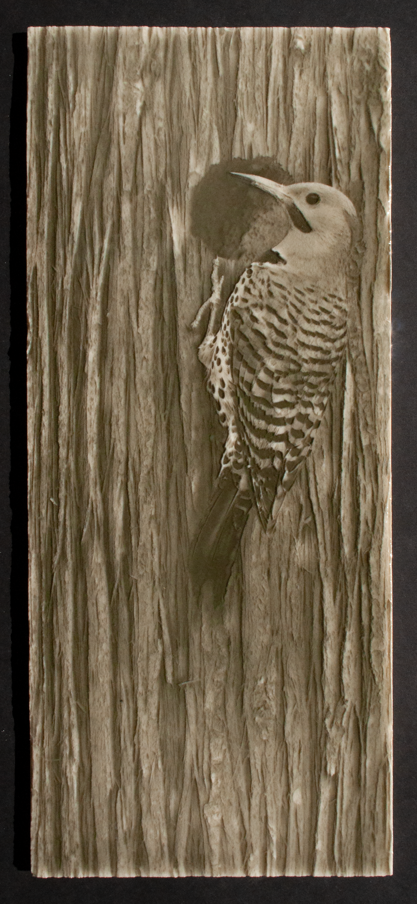 Woodpecker tile design featuring a Northern Flicker bird against a textured wood background, ideal for luxury bathroom aesthetics.