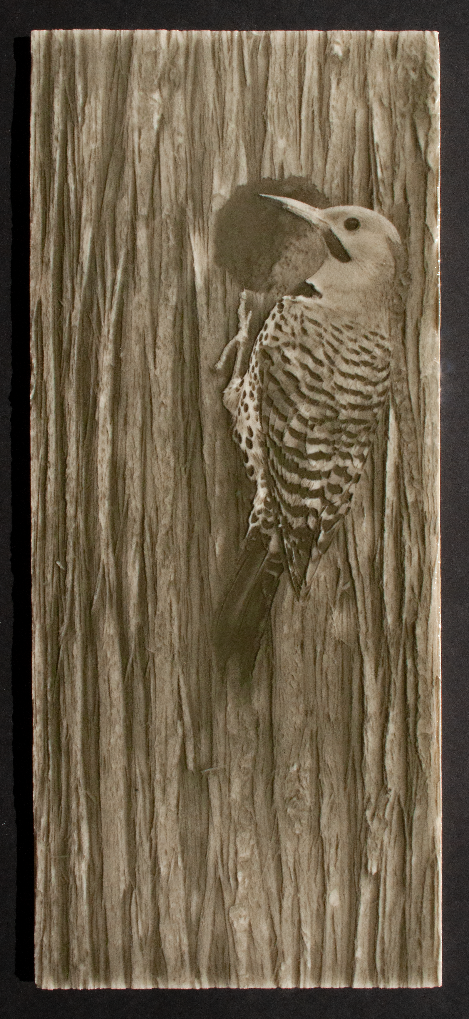 Woodpecker tile design featuring a Northern Flicker bird against a textured wood background, ideal for luxury bathroom aesthetics.