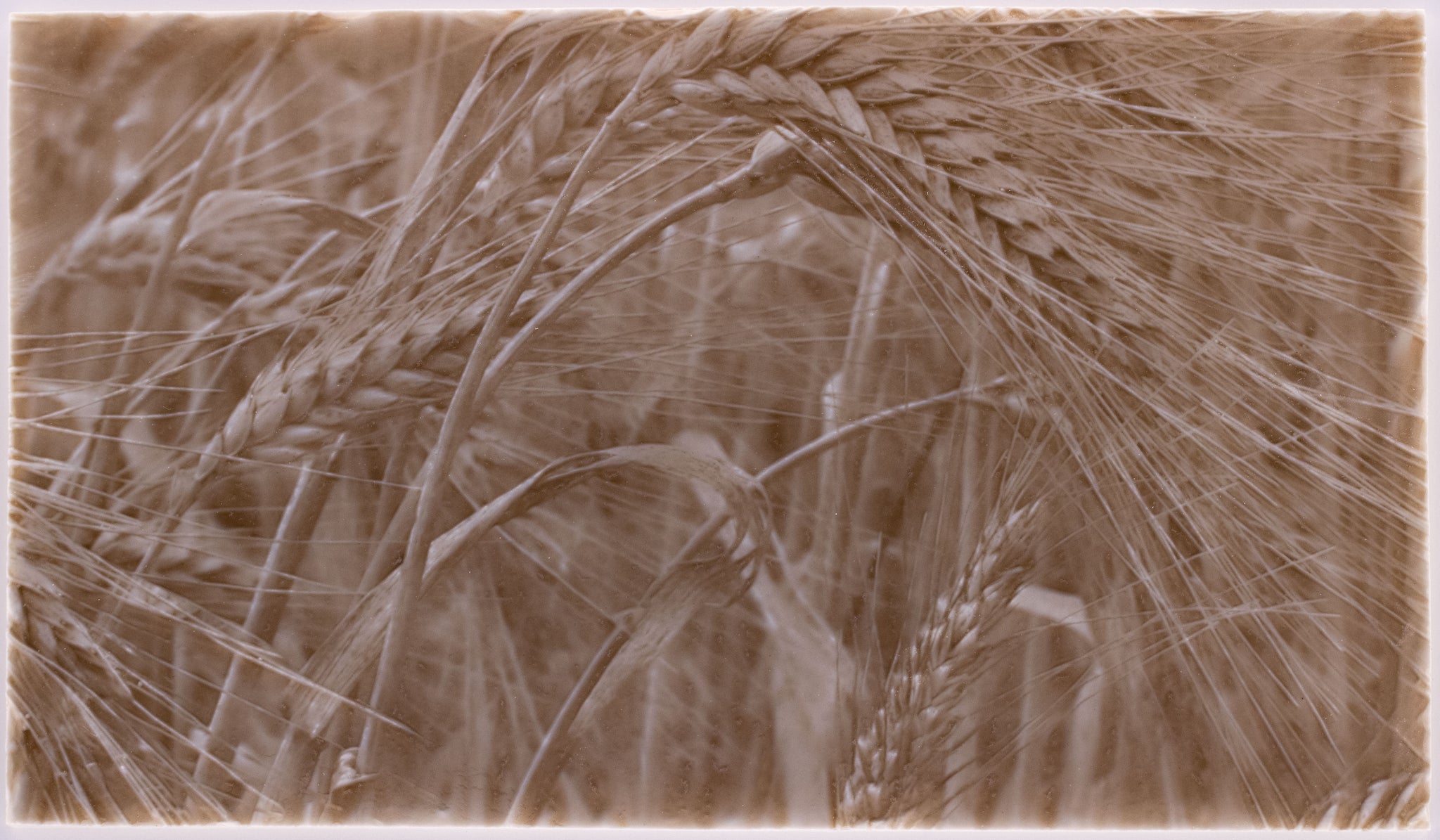 wheat kitchen backsplash