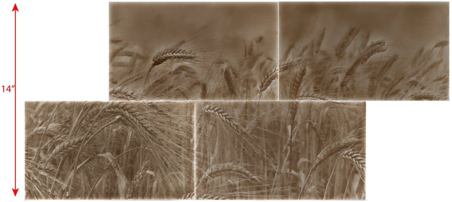 Rustic kitchen backsplash tile design featuring a sepia-toned image of golden wheat fields, enhancing home aesthetics with a unique charm.