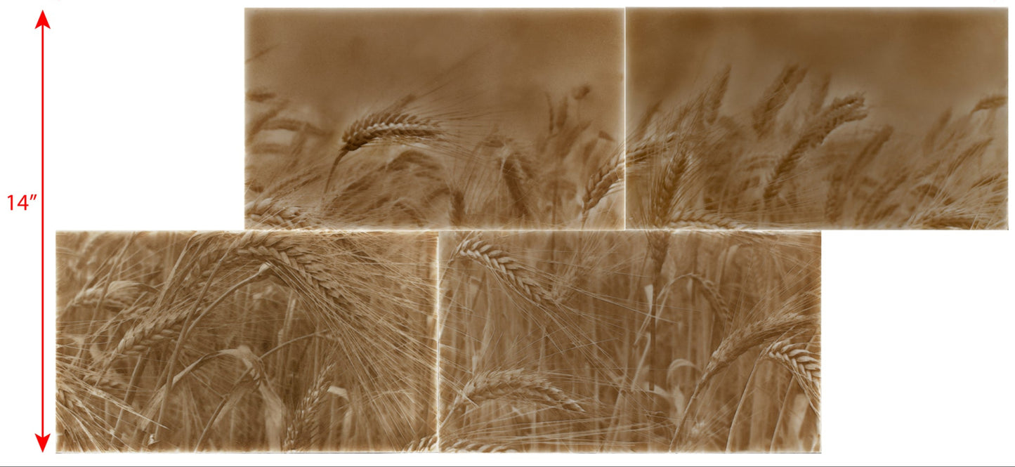 Rustic kitchen backsplash tile design featuring golden wheat fields in a taupe color scheme, enhancing home aesthetics for a farmhouse-style kitchen.