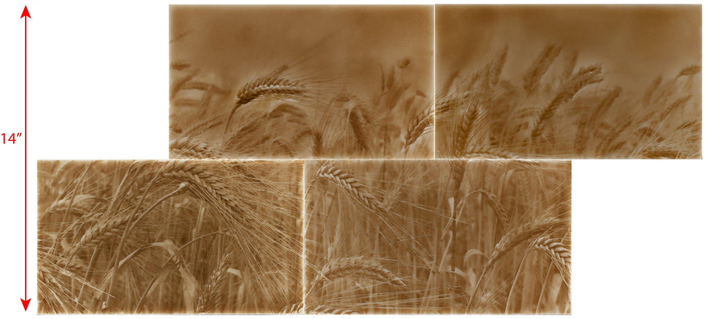 Rustic kitchen backsplash tile design featuring golden wheat fields, enhancing home aesthetics with a unique charm, size 14 inches.