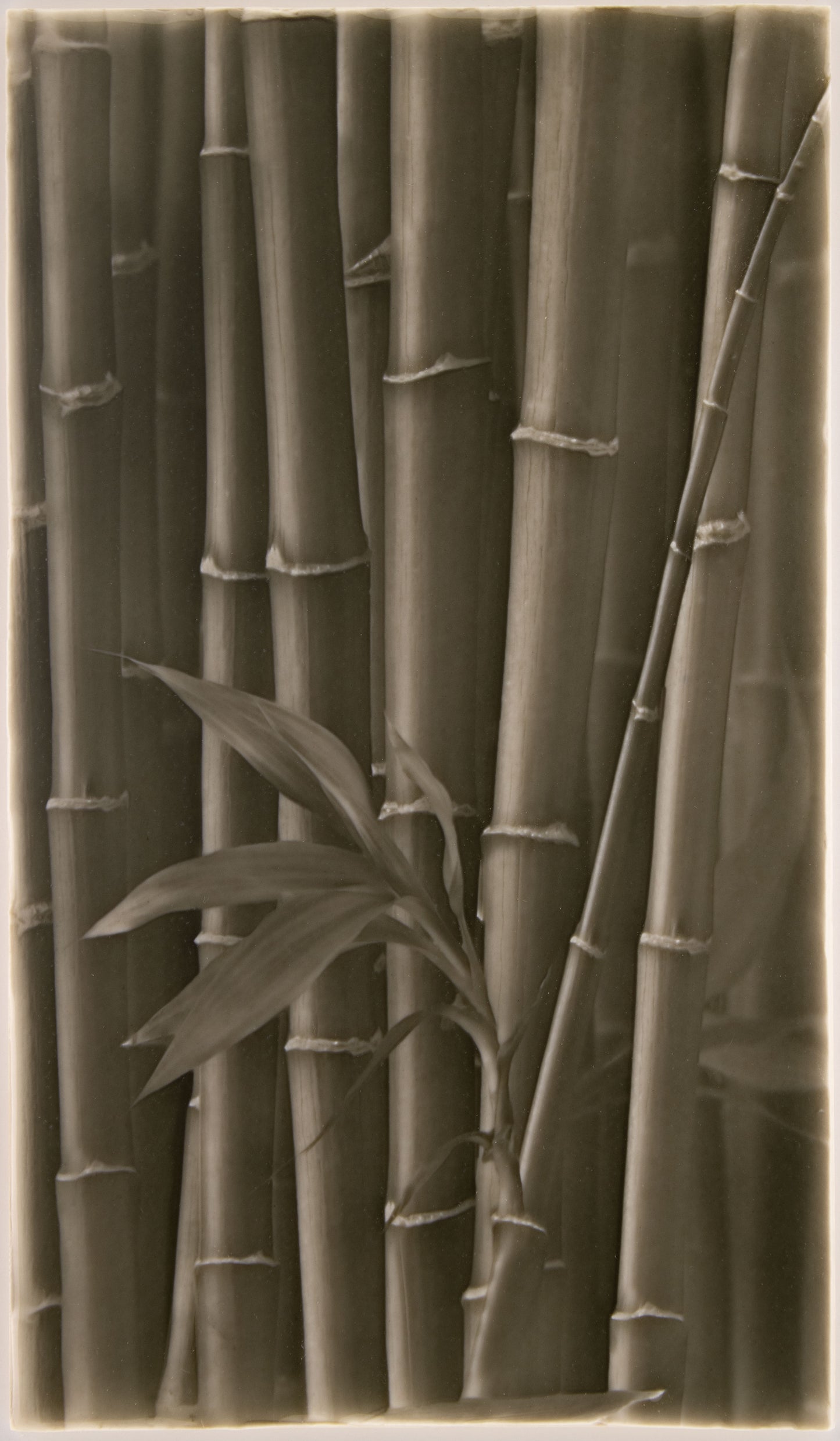 Bamboo stalks with a green leaf, showcasing natural textures and tones, reflecting artistic tile design inspiration for walk-in showers.