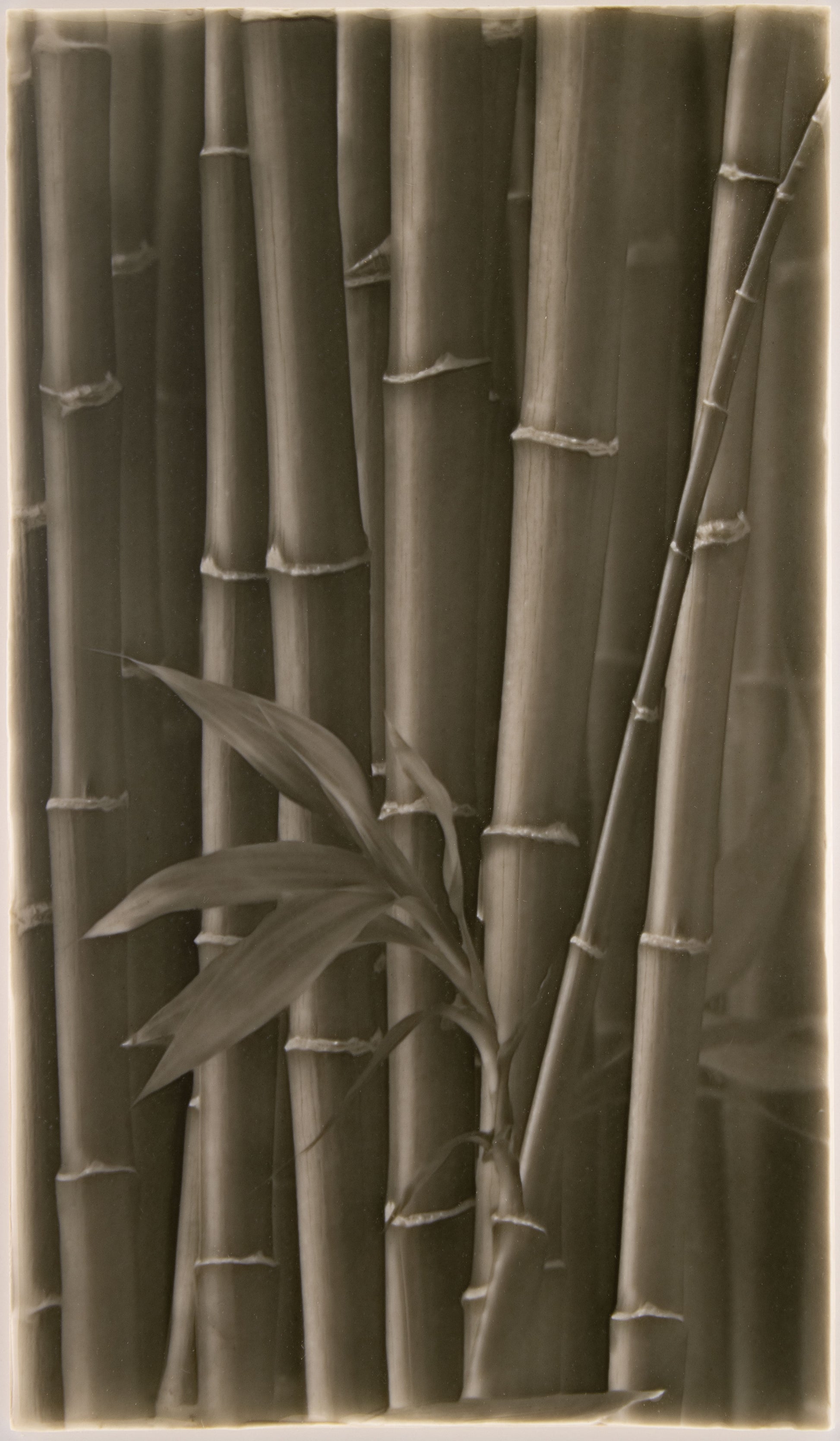 Bamboo stalks with a green leaf, showcasing natural textures and tones, reflecting artistic tile design inspiration for walk-in showers.