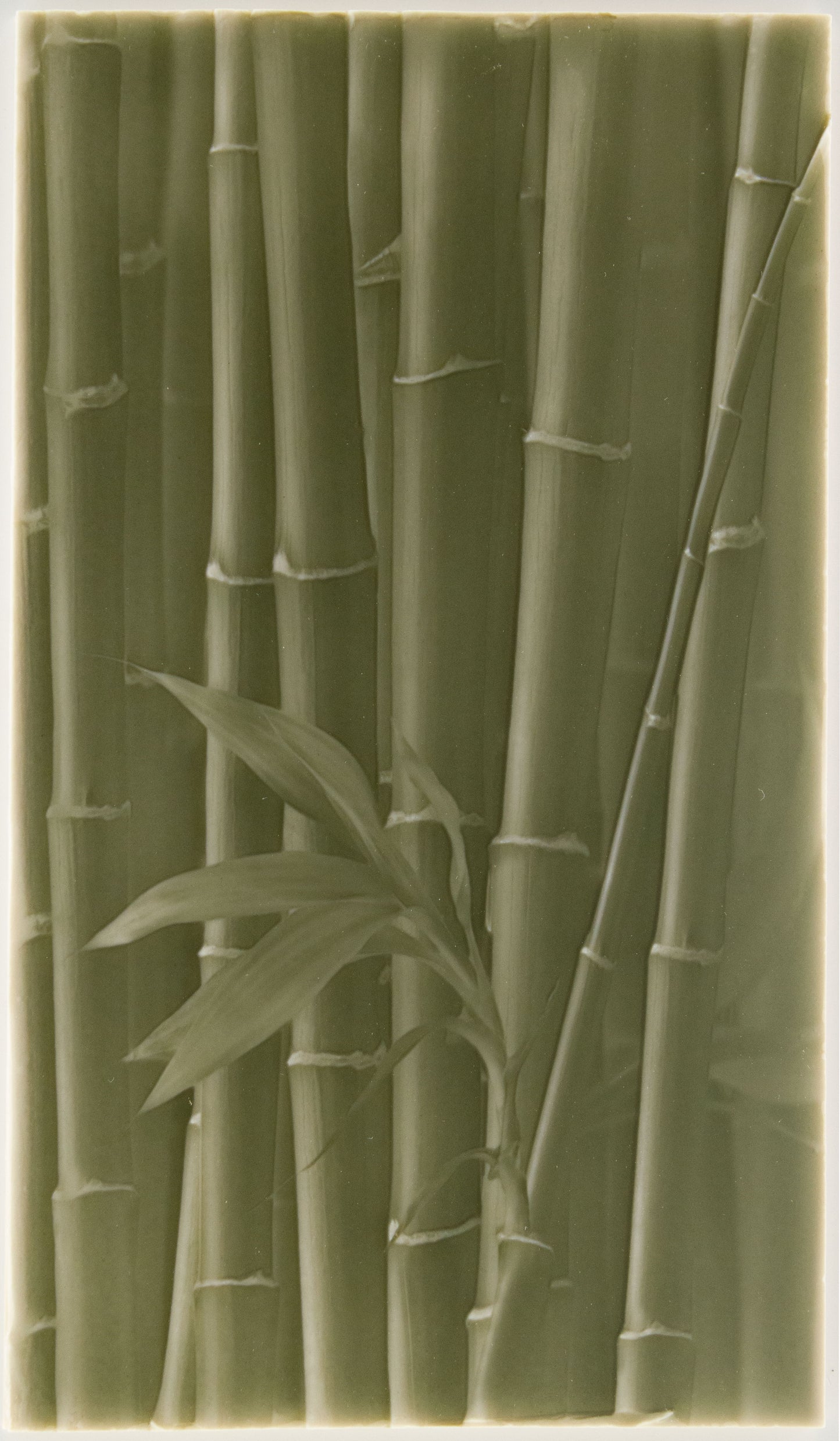 Biophilic Shower Tile Designs