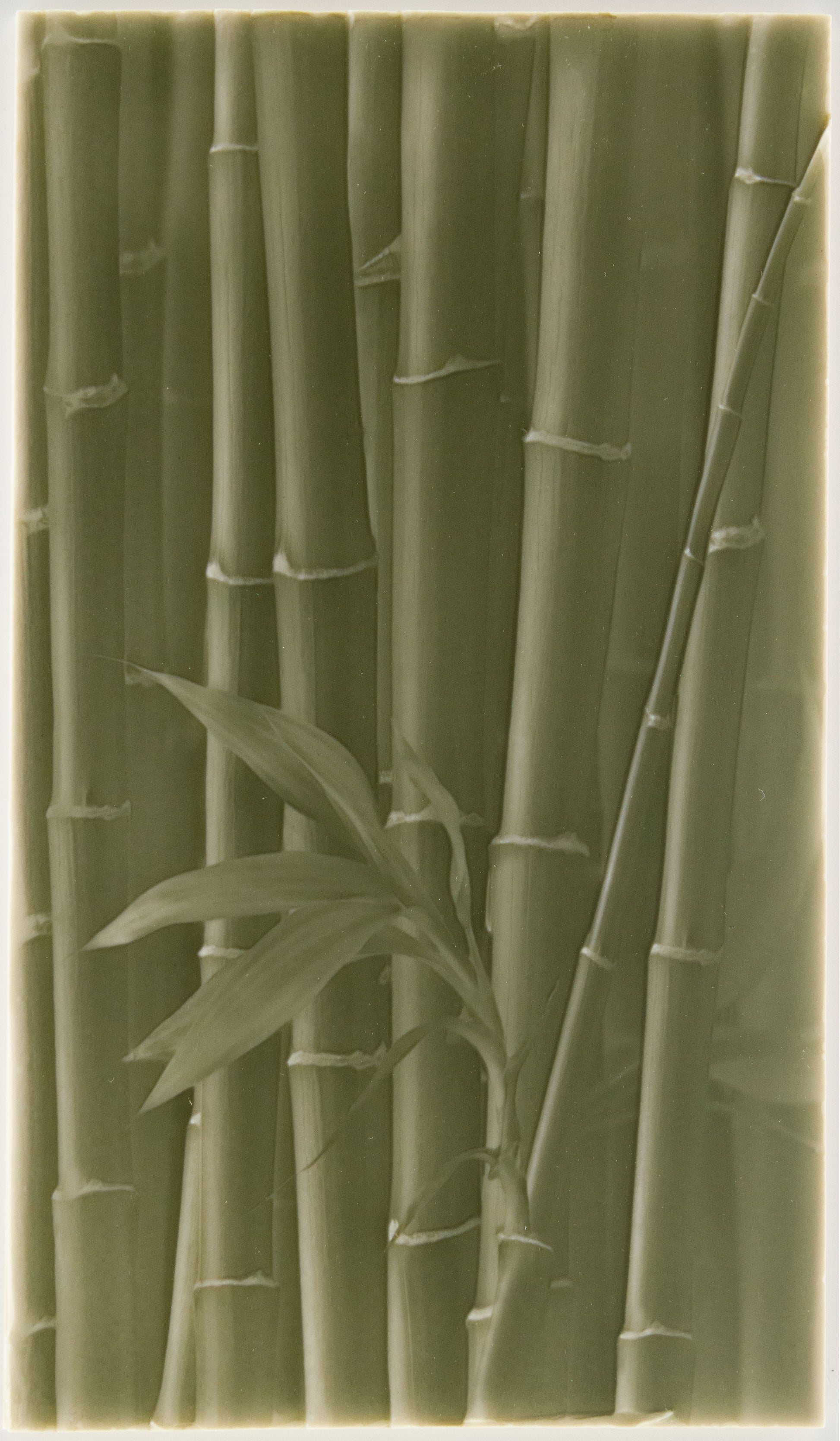 Biophilic Shower Tile Designs