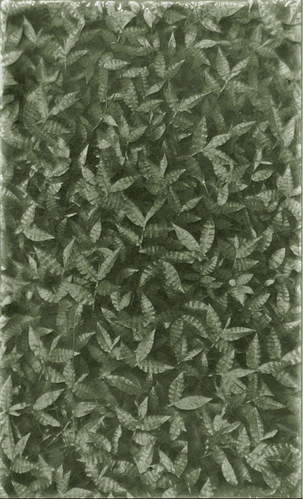 Leaf-patterned decorative tile showcasing intricate designs inspired by tropical foliage, ideal for enhancing home interiors with natural elegance.