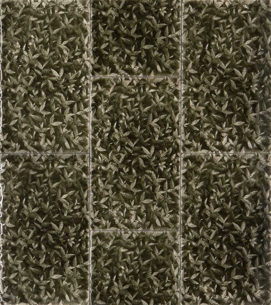 Leaf-patterned decorative tiles in earthy green tones, inspired by tropical foliage, showcasing natural elegance for home interiors.