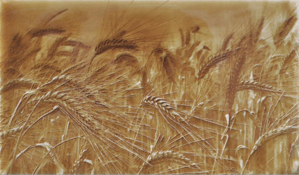 Rustic kitchen backsplash featuring textured golden wheat tile design, enhancing home aesthetics with a farmhouse charm.