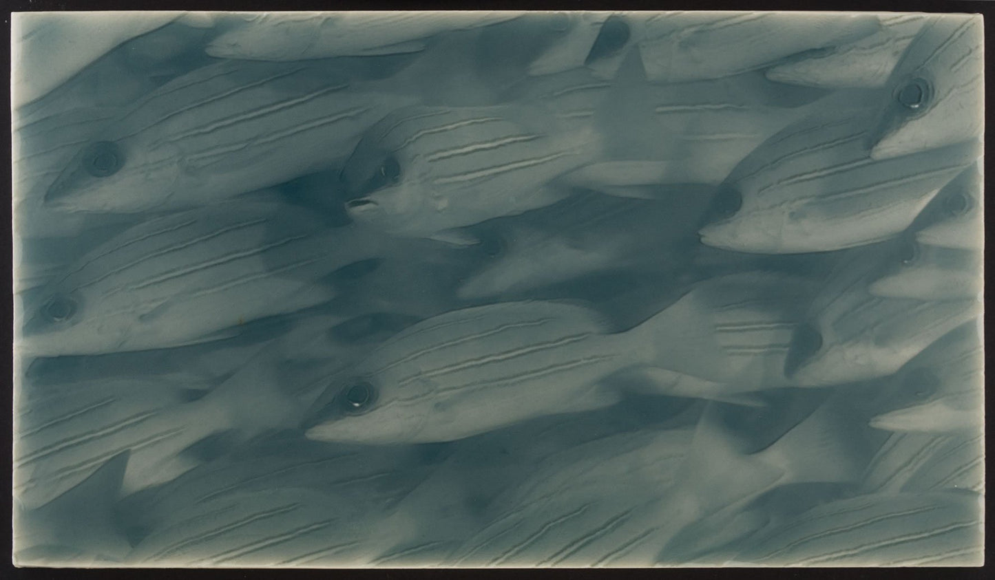 Artisan tile featuring a pattern of little fish in shades of blue, ideal for coastal-themed bathroom decor from Living Walls Tile.