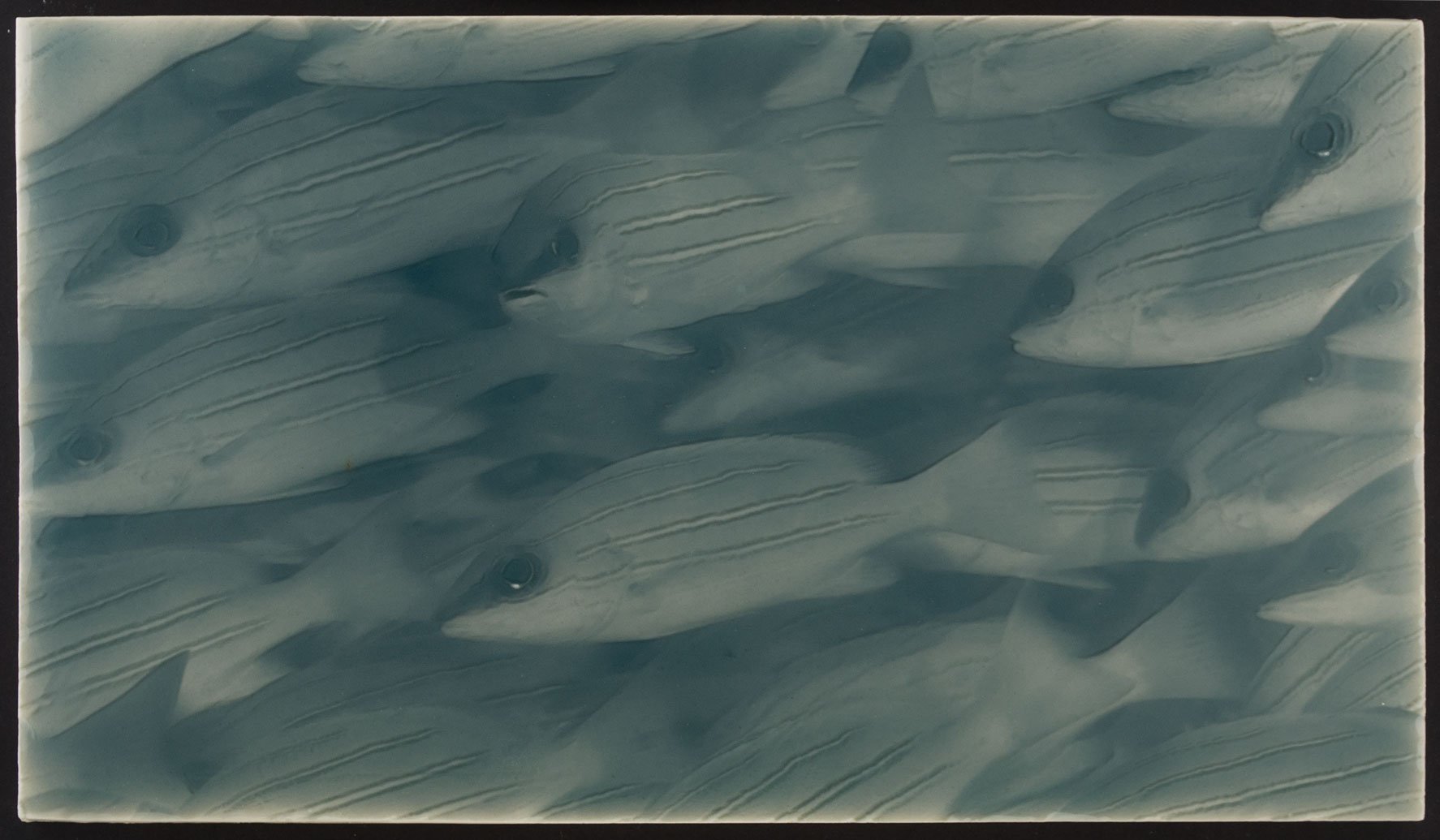 Artisan tile featuring a pattern of little fish in shades of blue, ideal for coastal-themed bathroom decor from Living Walls Tile.