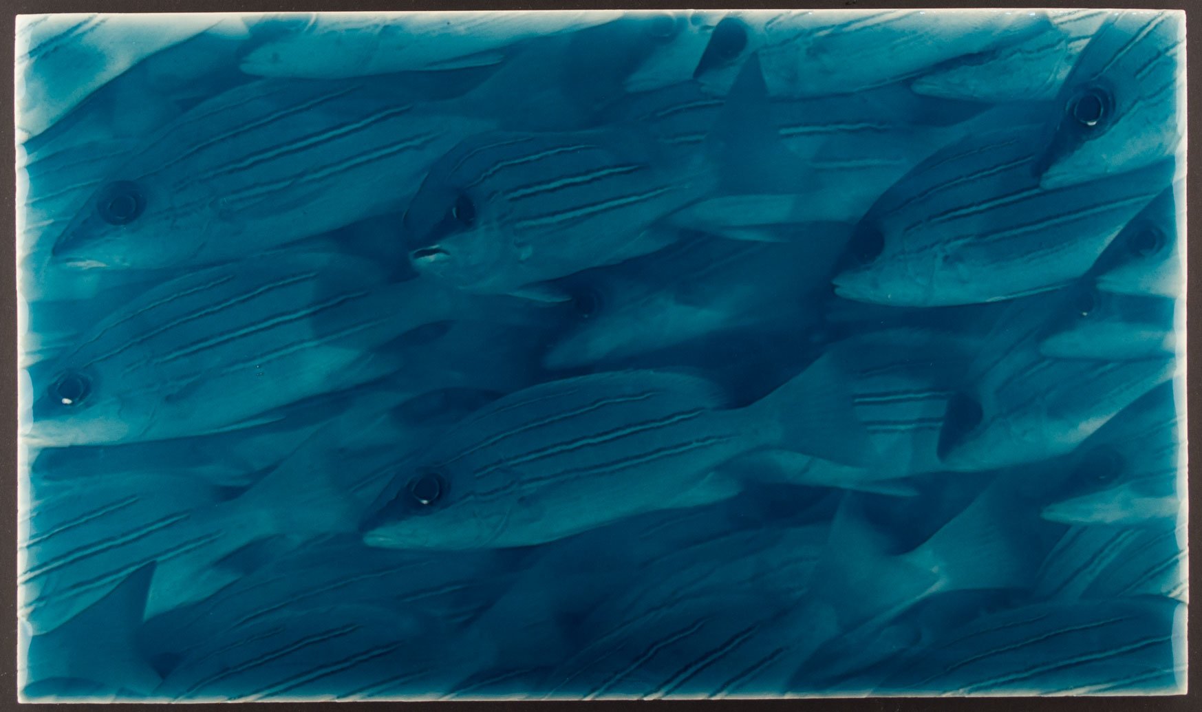 Little Fish Tile design featuring a group of stylized fish in varying shades of blue, ideal for coastal-themed bathroom decor.