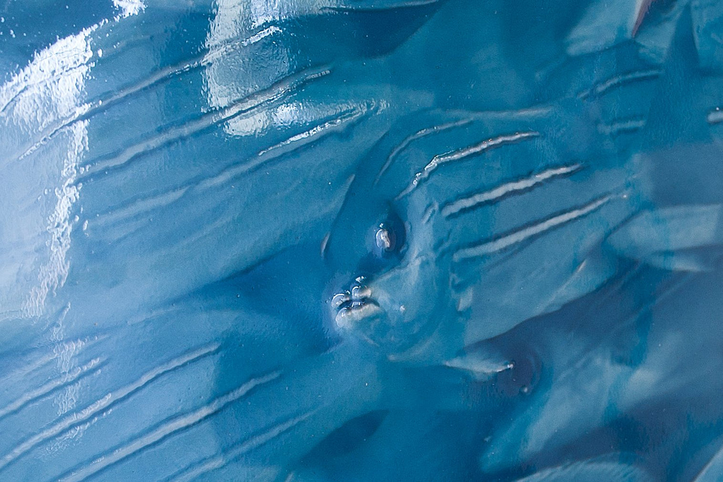 Artisan tile featuring a textured blue background with stylized fish designs, evoking a coastal theme ideal for bathroom decor, emphasizing the 'Little Fish Tile' from Living Walls Tile.