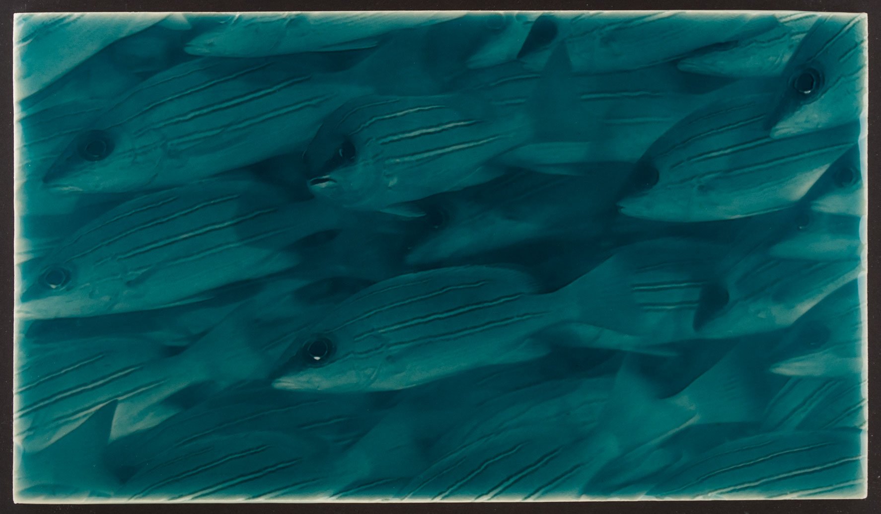 Artisan tile featuring a textured design of little fish in a teal color, ideal for coastal-themed bathroom decor from Living Walls Tile.
