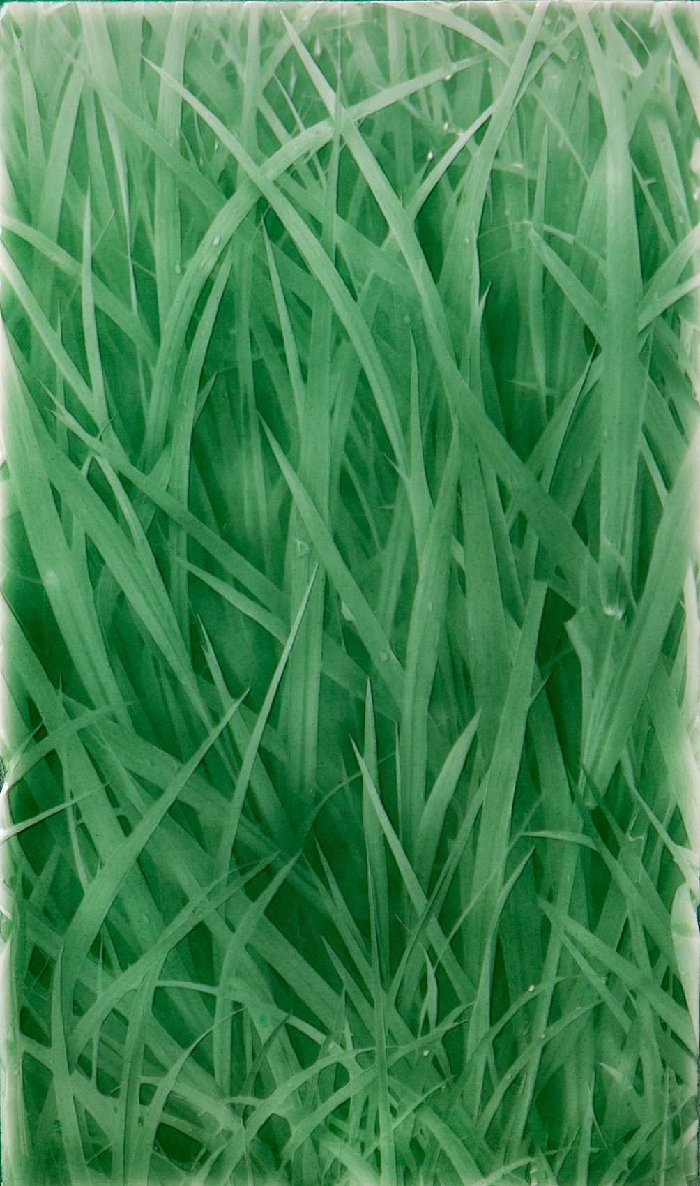 Biophilic Bathroom Design Lush Grass Tile