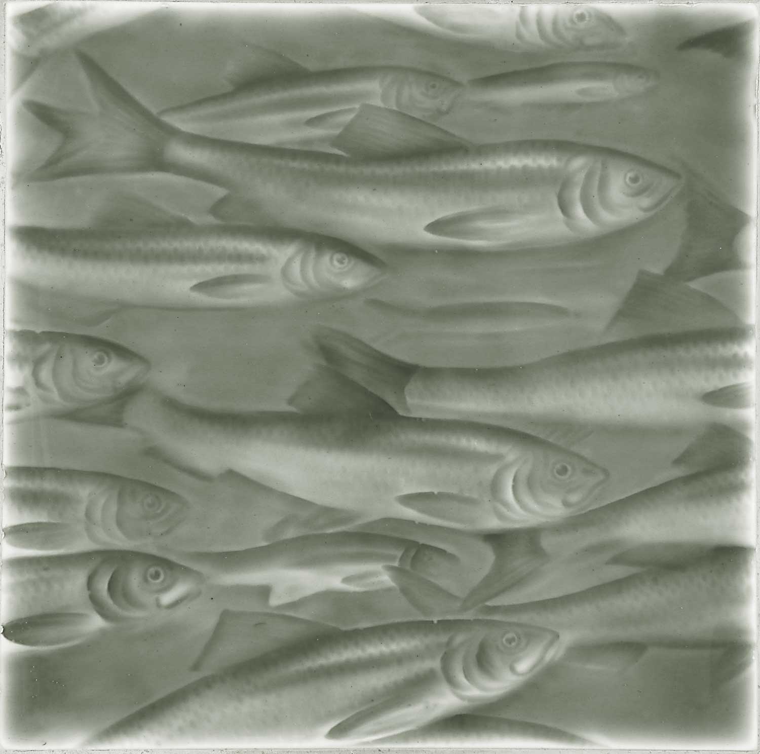Beach-themed textured tile featuring embossed fish design, ideal for coastal-inspired home decor by Living Walls Tile.