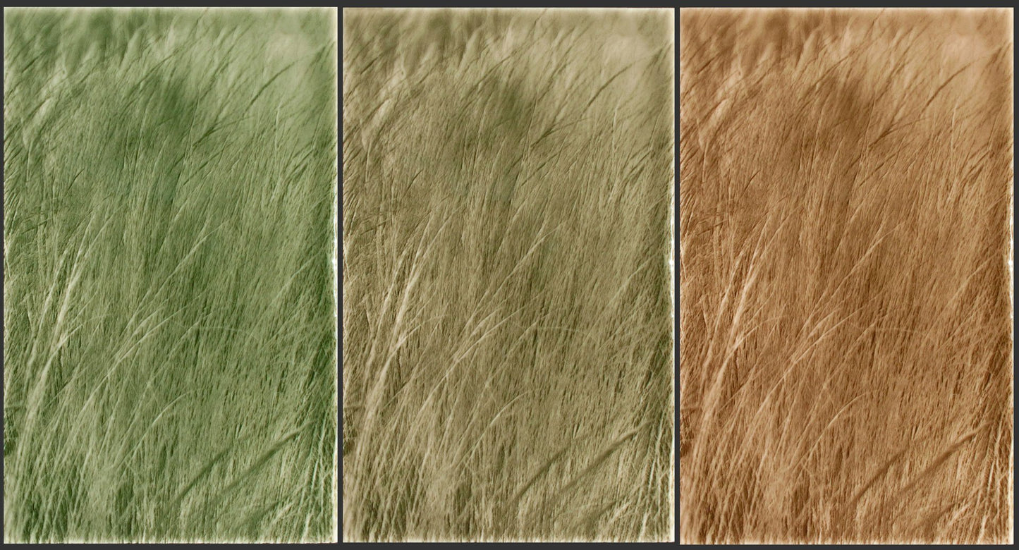 Nature-inspired decorative backsplash tiles featuring three panels of native grasses in varying shades of green, beige, and brown, ideal for modern farmhouse kitchen aesthetics.