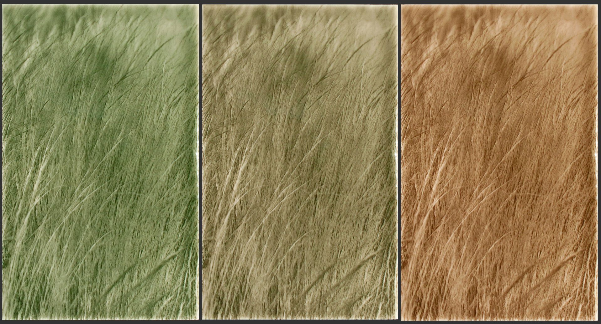 Nature-inspired decorative backsplash tiles featuring three panels of native grasses in varying shades of green, beige, and brown, ideal for modern farmhouse kitchen aesthetics.