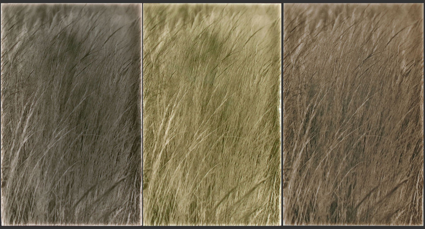 Three-panel tile design featuring textured grass patterns in earthy tones, inspired by native grasses for modern farmhouse kitchen backsplashes.