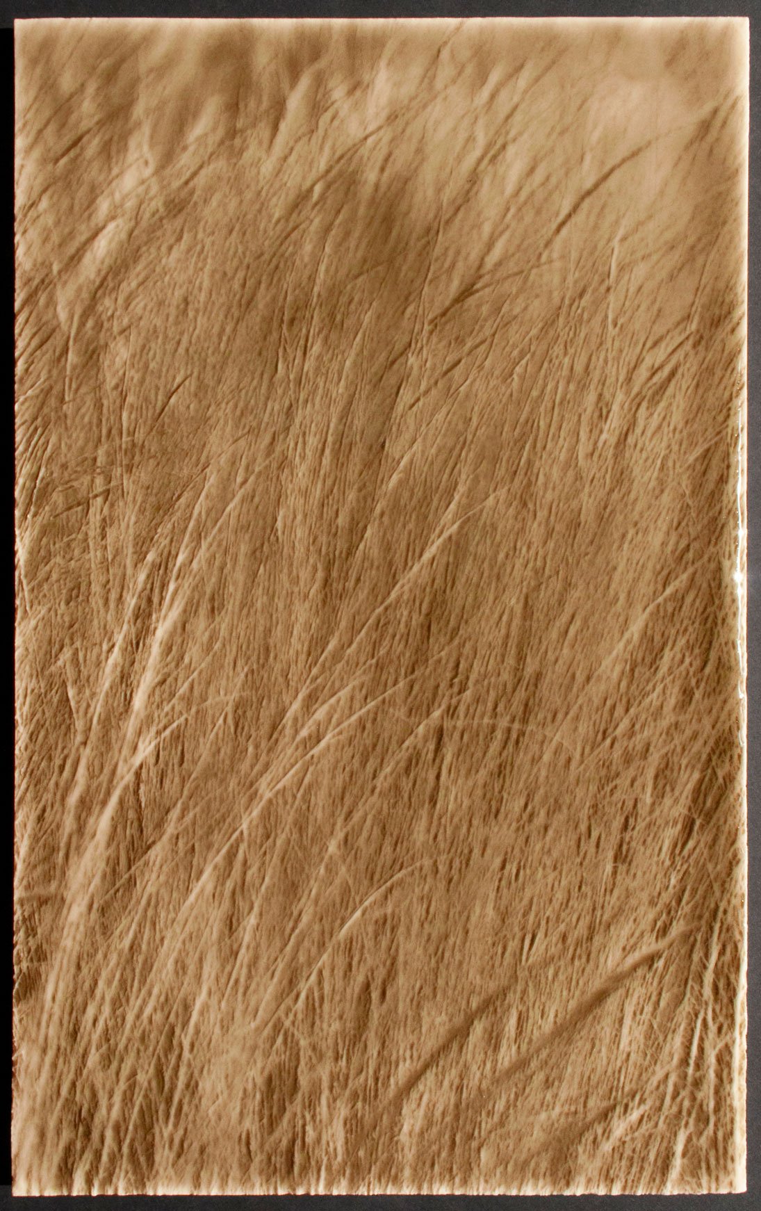 Textured tile design resembling native grasses, showcasing a natural aesthetic ideal for modern farmhouse kitchen backsplashes by Living Walls Tile.