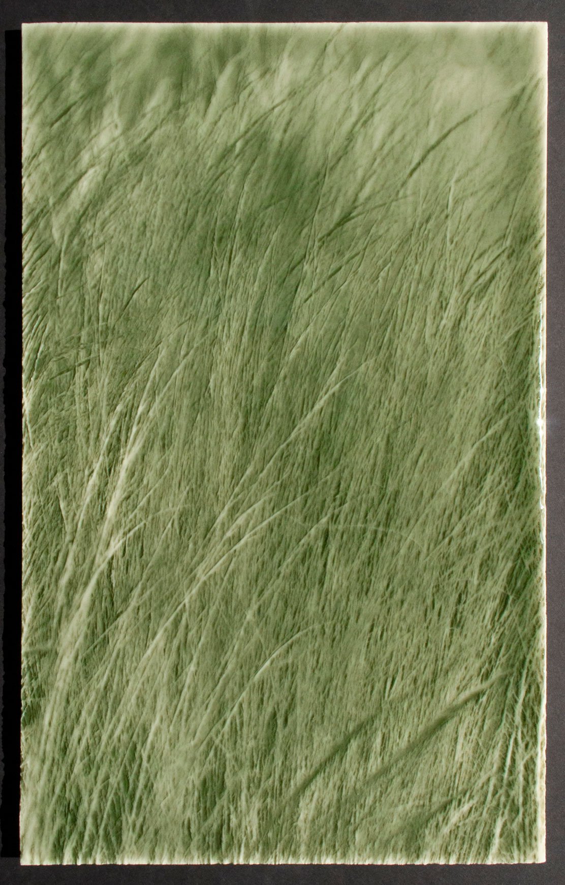 Green tile resembling native grasses, ideal for modern farmhouse kitchen backsplashes, showcasing a nature-inspired design by Living Walls Tile.