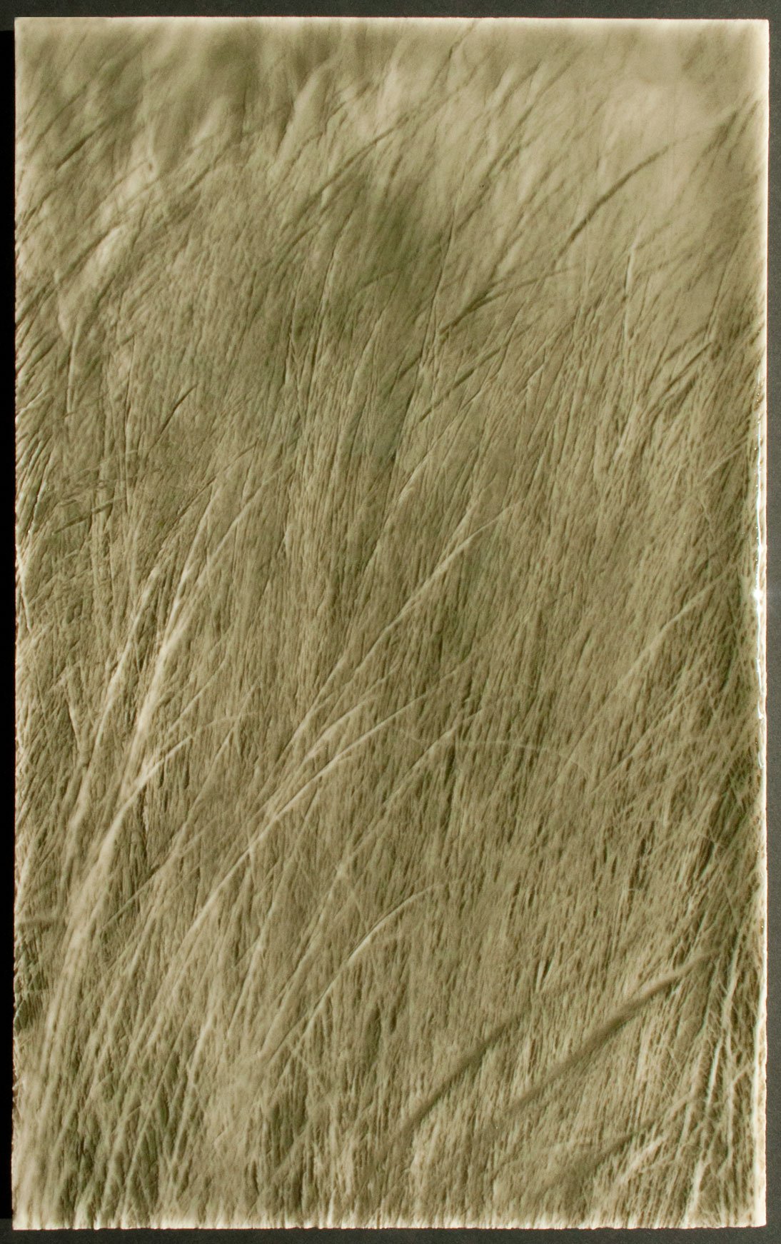 Textured tile design resembling native grasses, ideal for modern farmhouse kitchen backsplashes, showcasing nature-inspired aesthetics by Living Walls Tile.