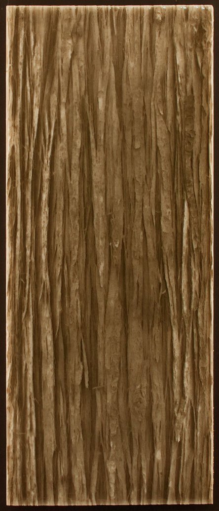 Textured tile resembling natural wood grain, emphasizing biophilic design for luxury bathroom aesthetics by Living Walls Tile.