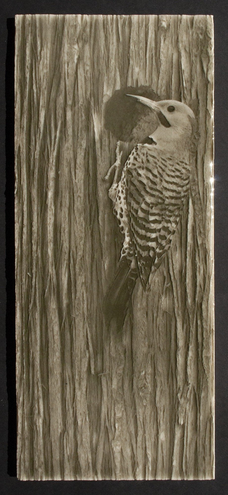 Northern Flicker art tile featuring a woodpecker design on a textured tree bark background, showcasing nature-inspired decor for home enhancement.